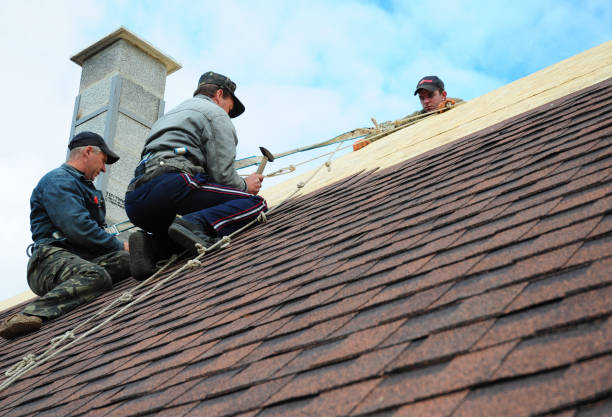 Best Roof Leak Repair  in Llender, CA